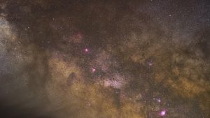 banner-image